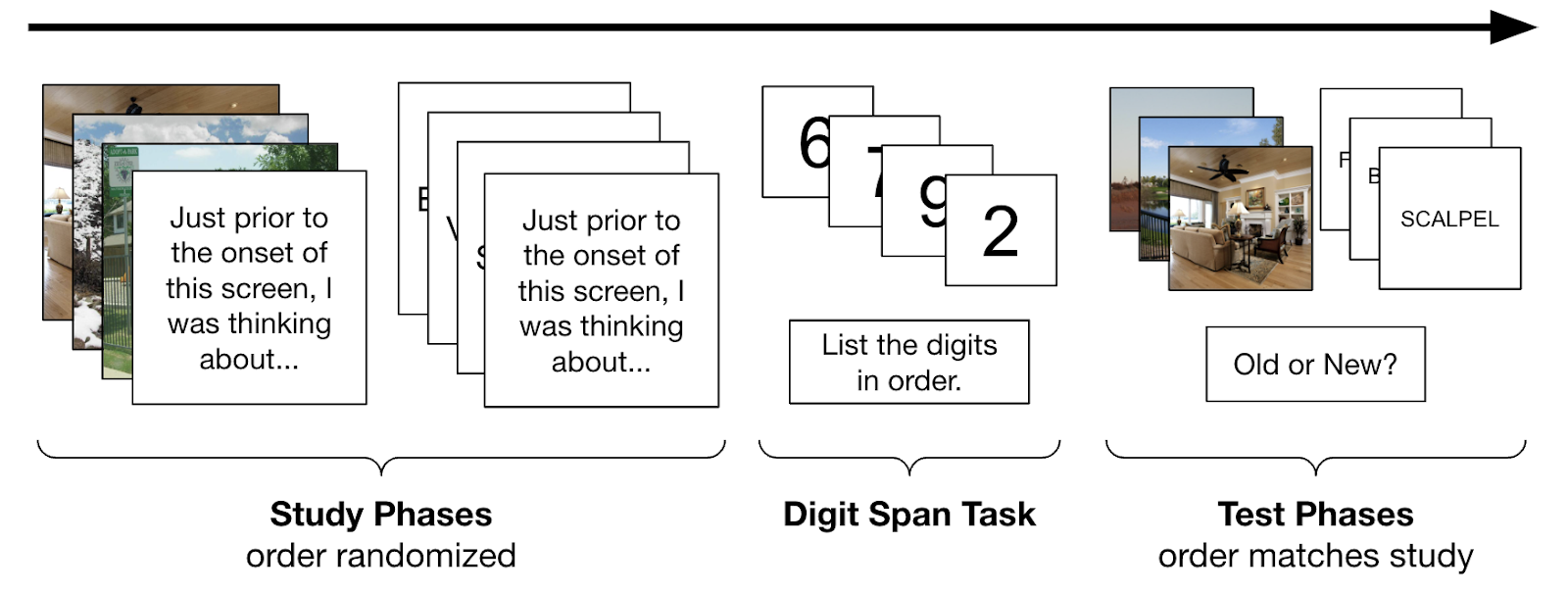 Thesis flowchart